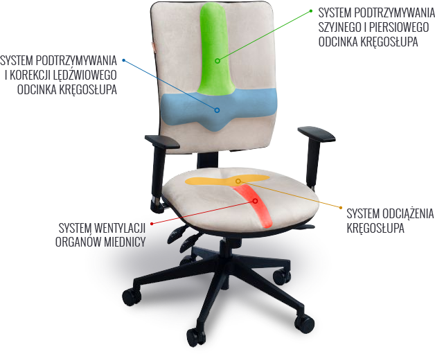Poznaj fotele z systemem zdrowego siedzenia! Fotele z systemem zdrowego siedzenia
